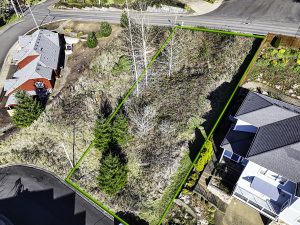 2724-Prominent-Ct-S-5