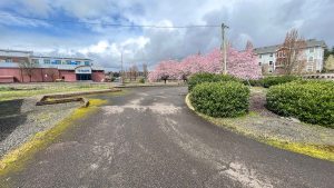 350 NW Hickory Lot-13