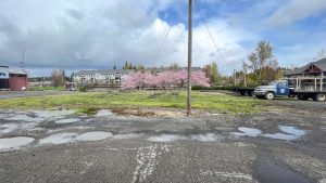 350 NW Hickory Lot-8