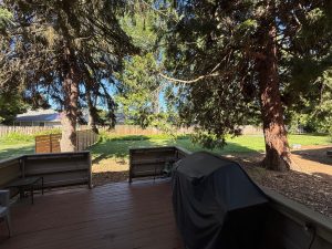 5287 Baxter Ct SE Salem OR 97306 back yard